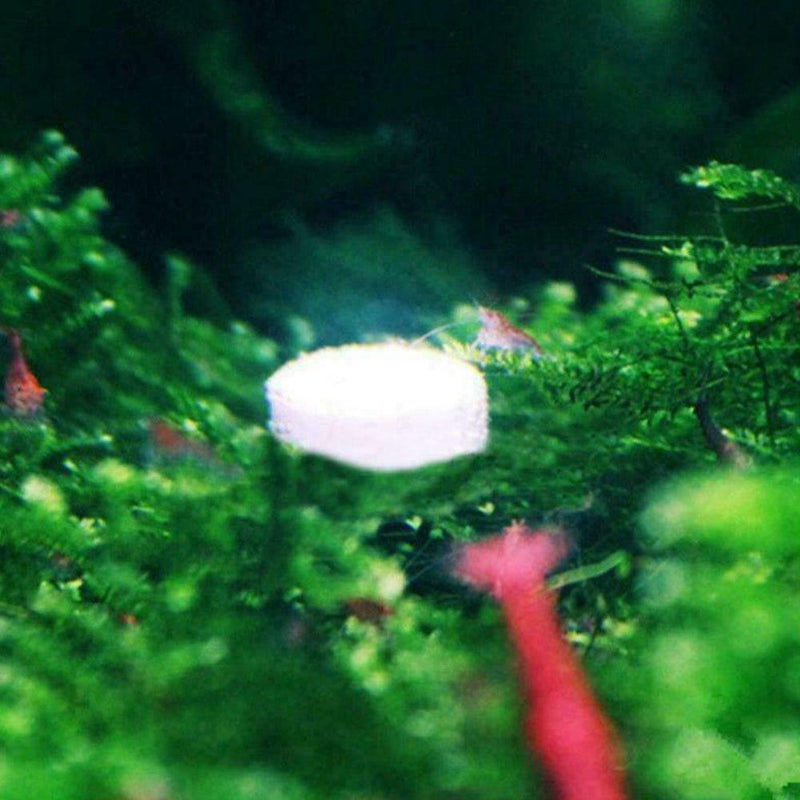 Useful Aquarium Fish Powder Antimicrobial Agent Disease Worthy Treatment N7X6