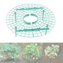 Strawberry Balcony Vegetable Fruit Support Climbing Vine Pillar Gardening S F5N5