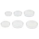 200x Plastic Coin Storage Display Capsules  Storage Collectible 22mm