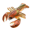 Realistic Solid Underwater World Animals Models Lifelike Large Size Lobster U8T5