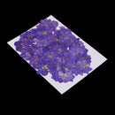 50pcs Pressed Flower Real Natural Dried Flowers for DIY Handmade Craft Blue
