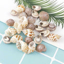 Seashells Corn Screw Wall Decoration DIY Aquarium Landscape  New