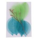10 Pieces Mixed Pressed Dried Real Magnolia Skeleton Leaves for Scrapbooking
