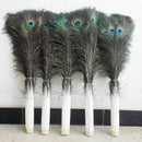 10PCS Craft Natural Peacock Tail Eyes Feathers 8-12 Inches long for Bouquet