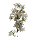 1 PC Artificial Cherry Blossoms Japanese Flower Bridal Home Party Wedding D H8N4