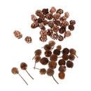 80 Mini Dried Flowers Plant Fruits Christmas Accents Wedding Decor Ornaments