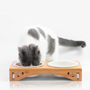 Fresh Water Dog Fountain Auto Pet Water Feeder Dog Drinking Container Cat W