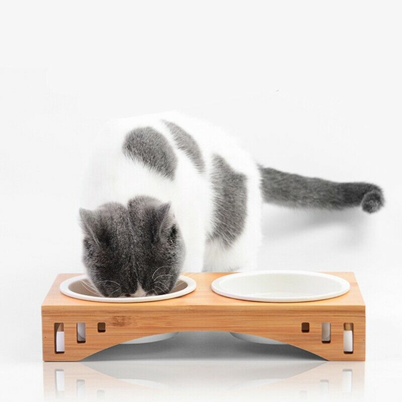 Fresh Water Dog Fountain Auto Pet Water Feeder Dog Drinking Container Cat W