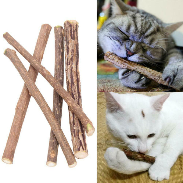 25X Cat Cleaning Teeth Pure Natural Catnip Pet Cat Molar Toothpaste Stick #gib
