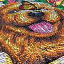 Diamond Painting Special Shaped Diy 5D Partial Drill Cross Stitch Diamond E J7N8