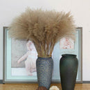 50Pcs Dried Flower Natural Phragmites Pampas Grass Wedding Bunch Bouquet Kit