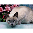5D Diamond Painting DIY Quiet Cat Full Round Drill Kit Ornaments (HY040)