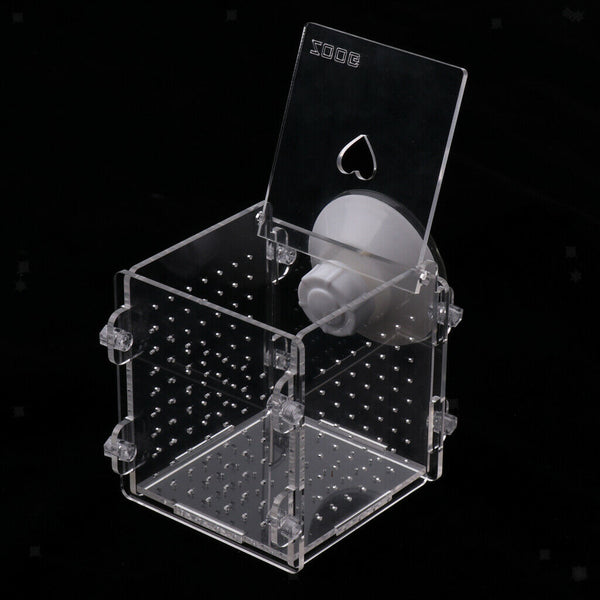 Acrylic Self-floating Fish Fry Breeding Box Hatchery Isolation Incubator Divider