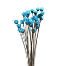 30Pcs Natural Daisy Beautiful Daisy Preserved Flowers Dried Flowers Everlas K3B3