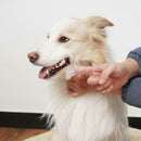 Super Soft Silicone Pet Finger Toothbrush Teddy Dog Brush Tartar Remover hv2n