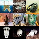 Reptology Floating Turtle Pier Terrapin Dock/Reptile Ramp Platform for Aquarium