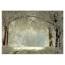 7 x 5ft Winter Backdrops Photography Snow Freeze Forest Background for Stud