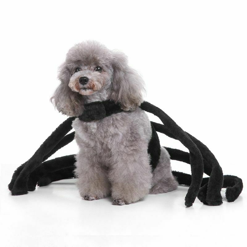 Halloween Pet Dog Costume Clothes Big Spider Costume Clothes For Dogs Chihu P9K6