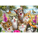 Six Cats DIY Full Drill Diamond Painting Mosaic Kits Picture Home Decor