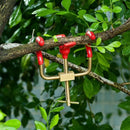 Bonsai Branch Bender Exceptional Wonderful Gyrate Installation Material Bon I2S7