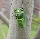 Summer Insect Statue Tree Lawn Ornament DIY Animal Sculpture Decor Cicada