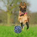 Dog Puppy Toys 11 Pack, Dog Rope Toys Puppy Chew Toys For Playing Time Pupp