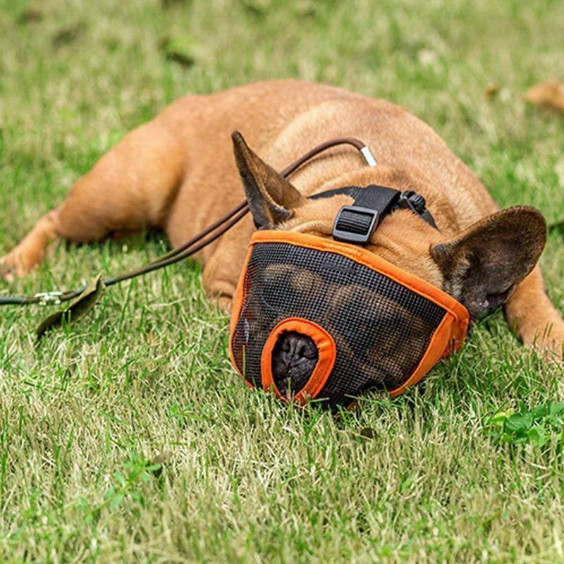 Dog Muzzle for Barking for Short Snout Pitbulls Dog Anti Biting Chewing Eat