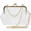 Clear Purse Crossbody Messenger Shoulder Bag For Women Chain Strap(Transpar