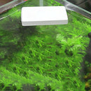 New Aquarium Cleaning Tools Strong Magnetic Cleaning Brush Glass Cleaning B