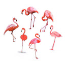 18pcs/set phone laptop flamingo stickers trunk guitar stickers for kids toys f&M