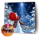 Full Round Drill Diamond Painting DIY Christmas Embroidery Craft (JH081)