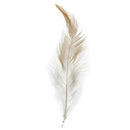 20 PCS Dyed Rooster Feathers for Decoration 10 -15 cm - brown W5H8