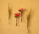 3Pcs Hanging Glass Flower Plant Vase Terrarium Container Decor Cylinder 15cm