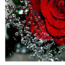 DIY 5D Diamond Painting Embroidery Cross Stitch Kit Wall Art Decor Red Rose