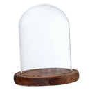 Clear Cloche Dome Plants & Flowers Jar for Home Garden Decoration Brown