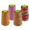 Set Of 4 Rainbow Polyester Cross Stitch Sewing Thread Home Sewing Supplies