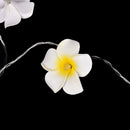 Creative Frangipani LED String Lights, AA Battery Floral Holiday Lightingã€ â„–[