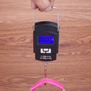 50kg Mini LCD Backlight Electronic Scale Hanging Hook Weighing Measure Steelyard