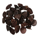 60pcs Natural Dried lotus pod Flowers Fruit for floral decor crafts DIY