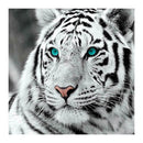 Tiger Head 5D DIY Full Drill Round Diamond Painting Embroidery Cross Stitch
