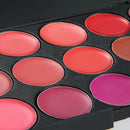 Pro Mix 15 Color Lip Gloss Lipstick Palette Set Cosmetic Makeup