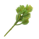 Artificial Succulents Plants Grass Flower Lifelike Home Plants Decor