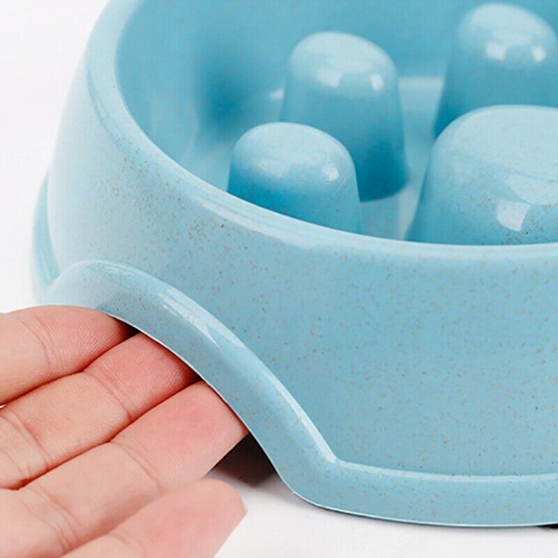 Dog Double Bowl Wheat Straw Stainless Steel Slow Food Pet Bowls Feeding and