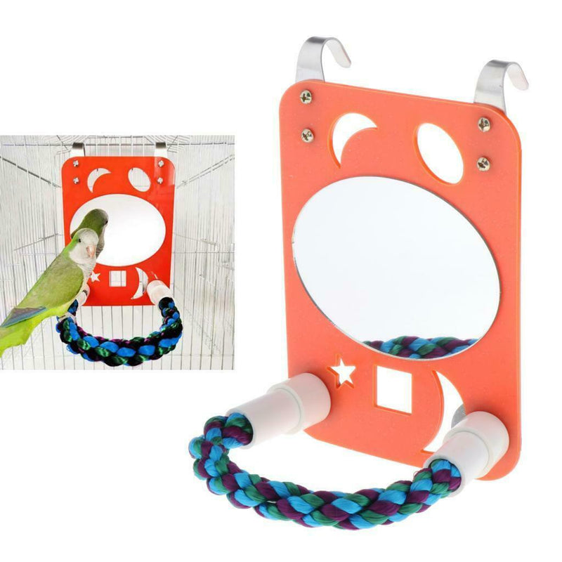 Parrot Large Mirror with Rope Perch Swing Toys for Greys Budgies Cockatoo