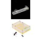 2 Pcs Rectangle Ant Feeder Farm Water Erea For Insect Ant Nests Transparent