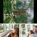Round Acrylic Transparent Window Bird Feeder with 2 Powerful Suction Cups L0L6