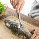 Coconut Shaver Stainless Steel Kitchen Fruit Tool Fish Skin Scale Scraper P Jf