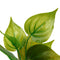 Artificial Plastic Grass Weed Plant Aquarium Ornament Fish Tank Decor(S) A