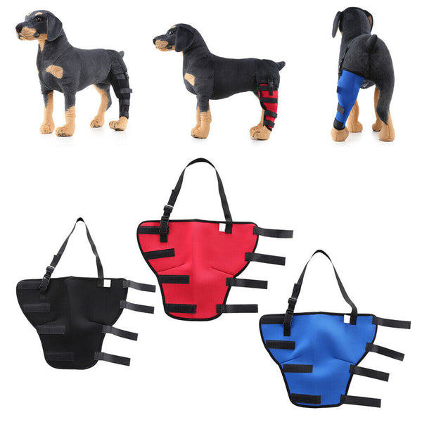 2 Pieces Nature Pet Deck Support/Elbow Support/Hygromb Compression Bandage, L