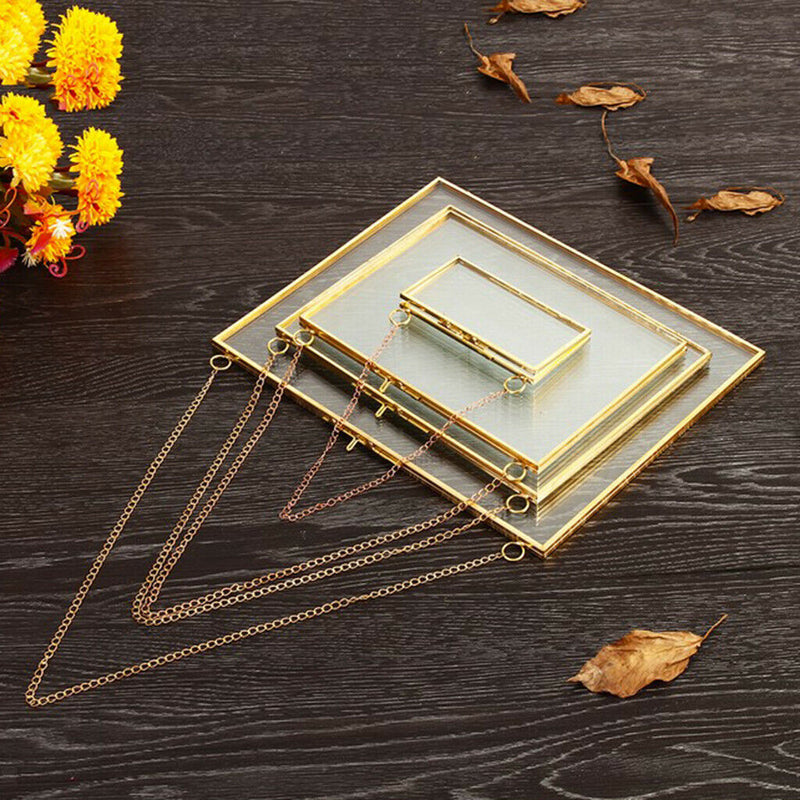 4Pcs Double Side Hanging Photo Picture Frame Plant Specimen Frame